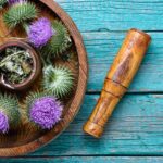 Milk thistle benefits