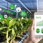 smart-farming