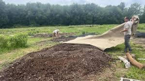 Composting and Organic Matter is a good way to practice Carbon Farming