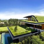 Green Roofing Guide