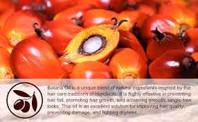 Natural remedies for hair loss